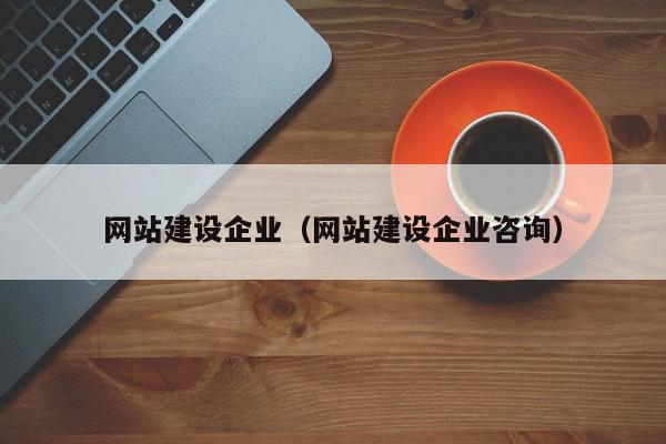 網(wǎng)站建設企業(yè)（網(wǎng)站建設企業(yè)咨詢）