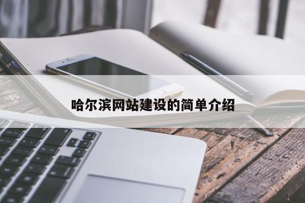 哈爾濱網(wǎng)站建設(shè)的簡單介紹