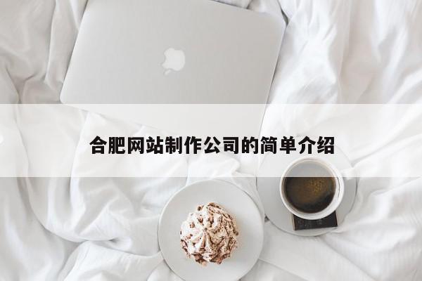 合肥網(wǎng)站制作公司的簡單介紹