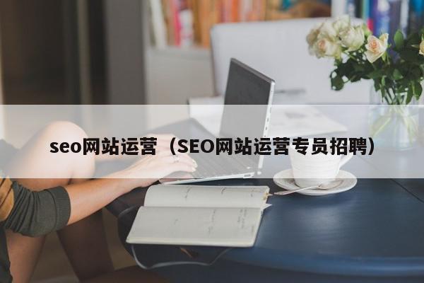 seo網站運營（SEO網站運營專員招聘）