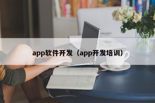 app軟件開(kāi)發(fā)（app開(kāi)發(fā)培訓(xùn)）