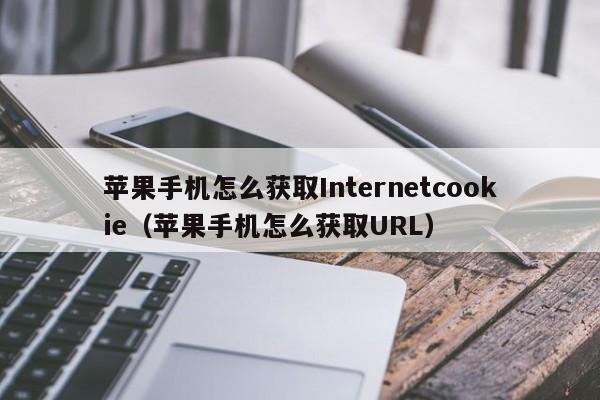 蘋果手機怎么獲取Internetcookie（蘋果手機怎么獲取URL）