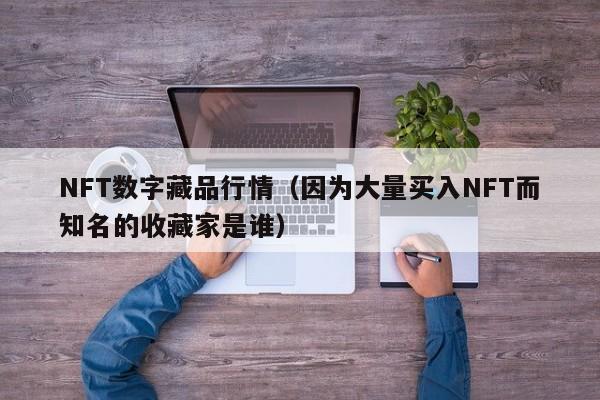 NFT數(shù)字藏品行情（因?yàn)榇罅抠I入NFT而知名的收藏家是誰）